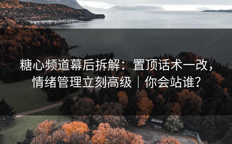 糖心频道幕后拆解：置顶话术一改，情绪管理立刻高级｜你会站谁？