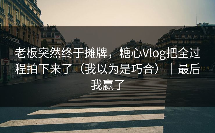 老板突然终于摊牌，糖心Vlog把全过程拍下来了（我以为是巧合）｜最后我赢了