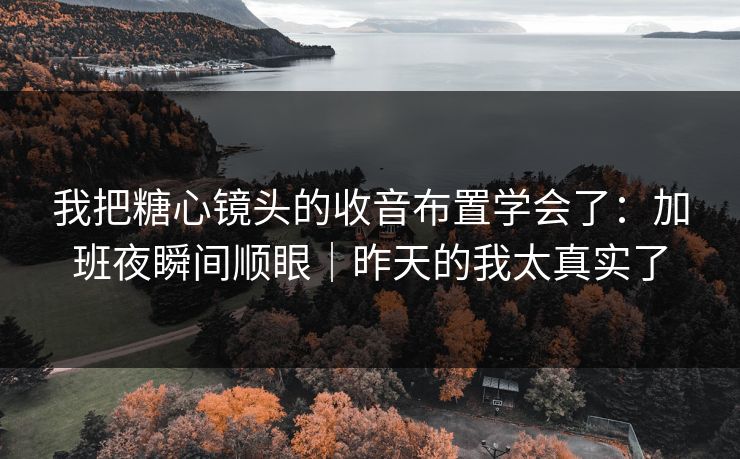 我把糖心镜头的收音布置学会了：加班夜瞬间顺眼｜昨天的我太真实了