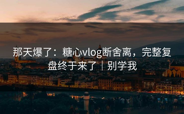 那天爆了：糖心vlog断舍离，完整复盘终于来了｜别学我