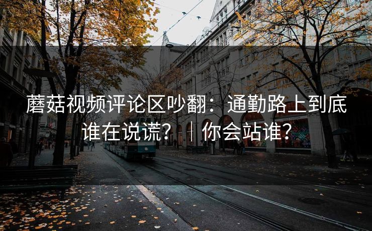 蘑菇视频评论区吵翻：通勤路上到底谁在说谎？｜你会站谁？