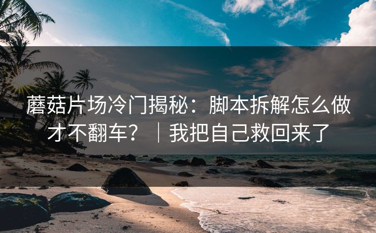 蘑菇片场冷门揭秘：脚本拆解怎么做才不翻车？｜我把自己救回来了
