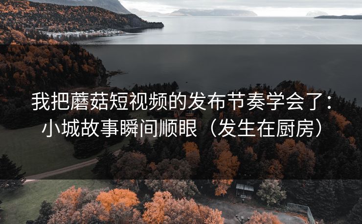 我把蘑菇短视频的发布节奏学会了：小城故事瞬间顺眼（发生在厨房）