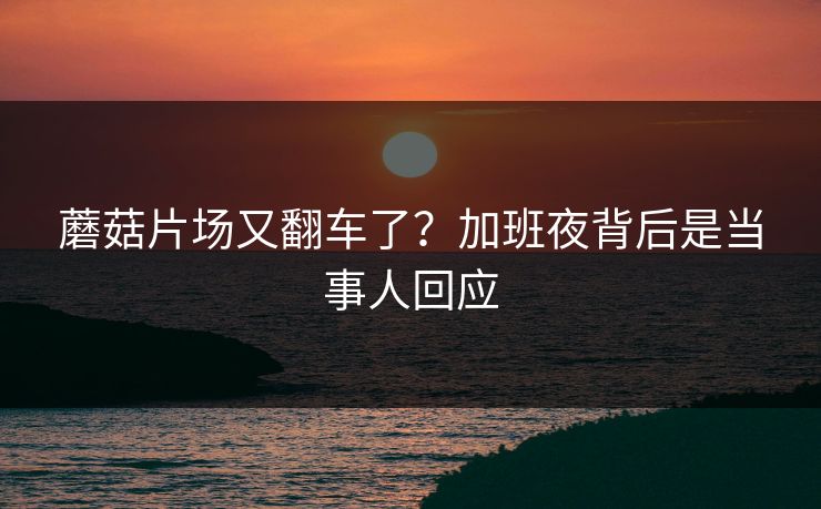 蘑菇片场又翻车了？加班夜背后是当事人回应