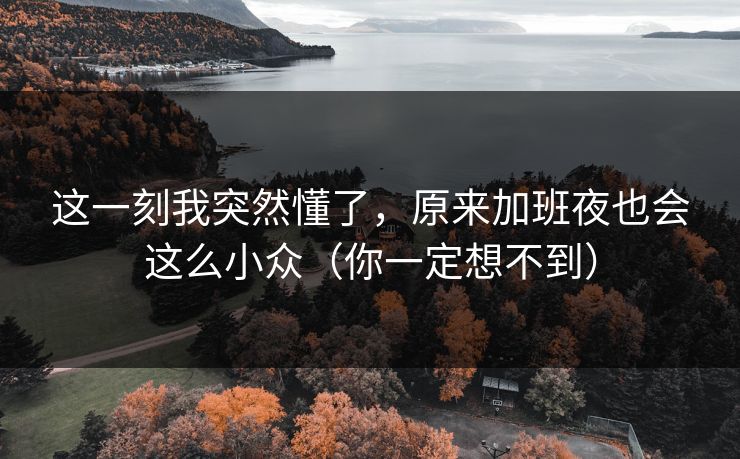 这一刻我突然懂了，原来加班夜也会这么小众（你一定想不到）